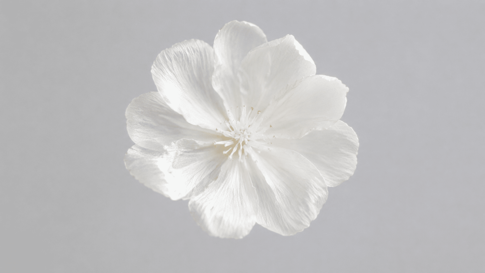 claude-sonnet-4-6
