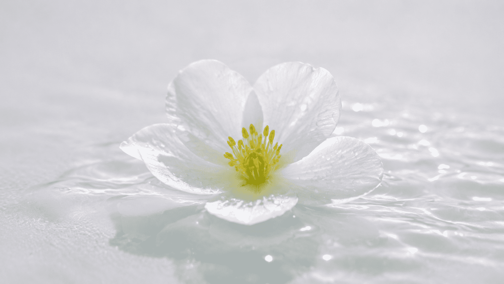 qwen3.7-max