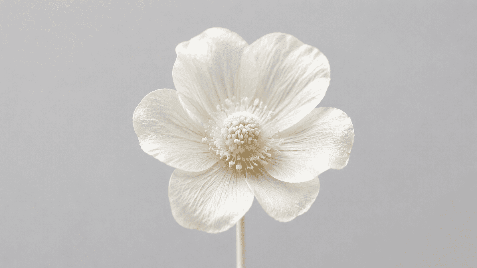 doubao-seed-2-1-pro-260628